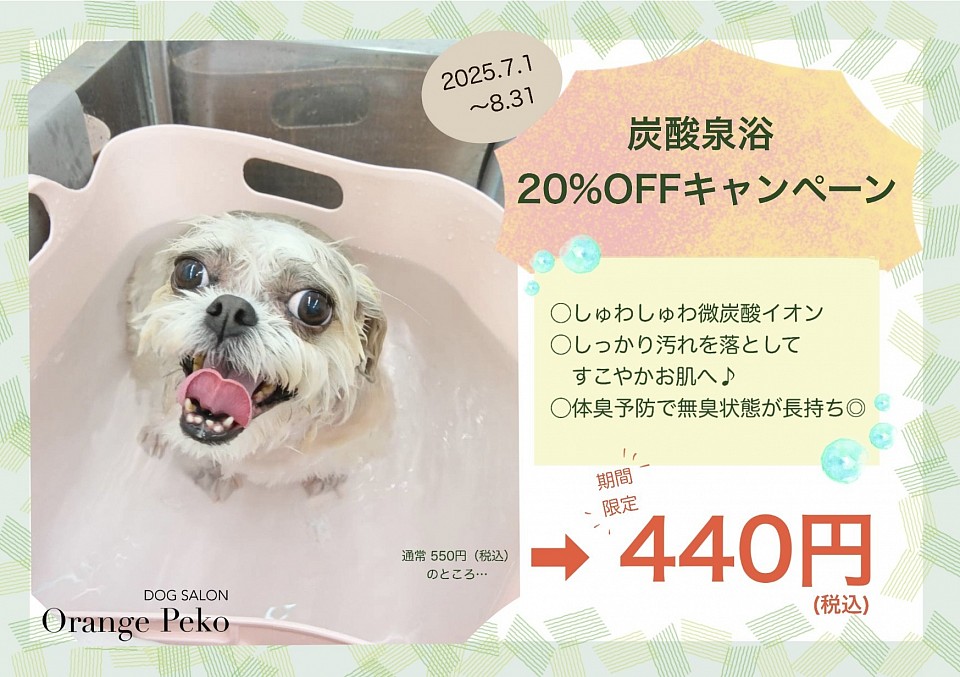 キャンペーン