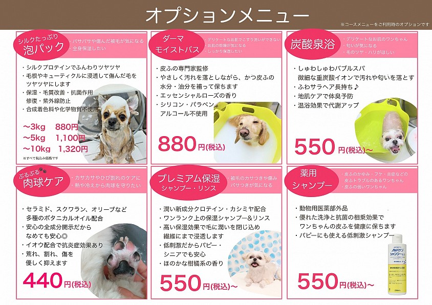 オプションメニュー
